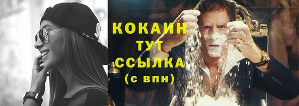 твердый Арсеньев