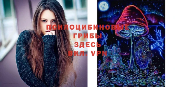 ешки Армянск