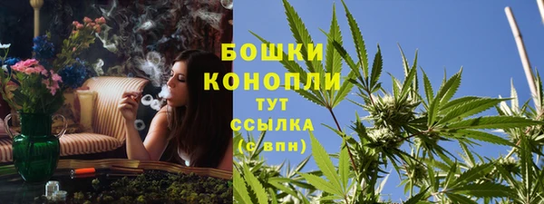 твердый Арсеньев
