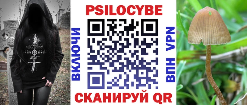 кракен   купить наркоту  Краснослободск  Псилоцибиновые грибы Psilocybe 